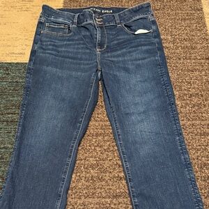 American Eagle Outfitters Women's Dark Blue Artist Crop 16 Long